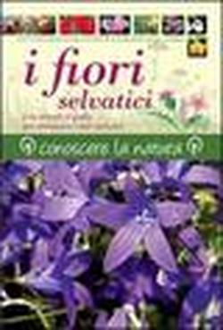 Foto I fiori selvatici
