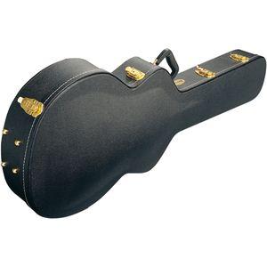 Foto Ibanez Amc Estuche Guitarra