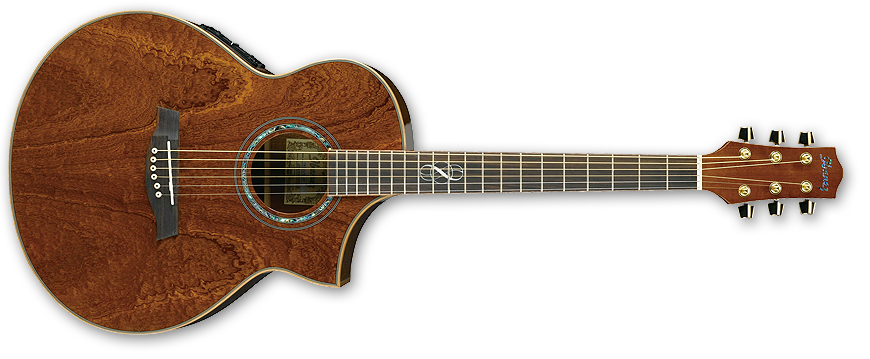 Foto Ibanez EW35Spe-NT Acoustic Guitar