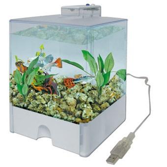 Foto Ica Aqua Box 3 Lts. Luz Dual