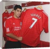Foto Impresión de lona de 51cm of 03.02.2011 Liverpool FC presente...