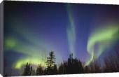 Foto Impresión de lona de 51cm of Aurora boreal en Alaska