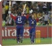 Foto Impresión de lona de 51cm of Cricket - Commonwealth Bank Series -...