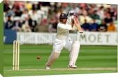 Foto Impresión de lona de 51cm of De cricket - Diana, princesa de...