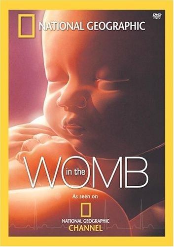 Foto In The Womb DVD