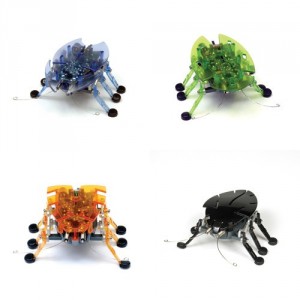 Foto Insecto robot “hexbug original”