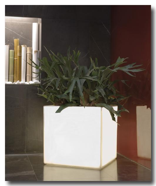 Foto Jardinera Teruel Luz