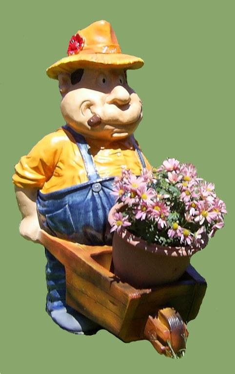 Foto Jardinero puro, carretilla