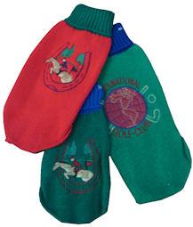 Foto Jersey ARPPE con cierre de velcro, Herradura Verde 30cms.