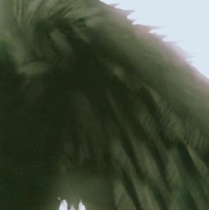 Foto Johannes Heil: Freaks R Us CD
