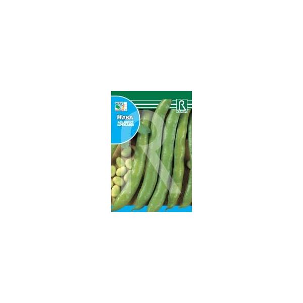 Foto Judía de enrame charlotte (de metro)