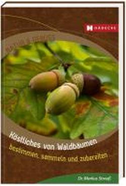 Foto Köstliches von Waldbäumen