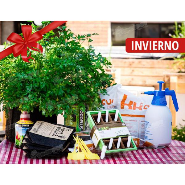Foto Kit huerto en macetas invierno