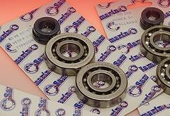 Foto Kit Samarin Rodamiento Y Retenes Cigueñal Yamaha Dt Lc 80cc Para Moto Motor