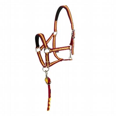 Foto Kit Winner España