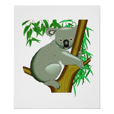Foto Koala - marsupial de vida del árbol australiano Impresiones