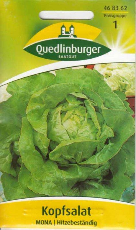 Foto Kopfsalat 'Mona'- Lactuca sativa capitata - Samen