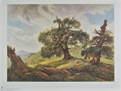Foto Lámina coleccionable Oak Trees on the Seashore de Carl Gustav Carus, 62x80 in.