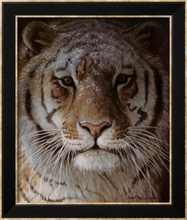Foto Lámina enmarcada Retrato de tigre de Robert Bateman, 65x55 in.