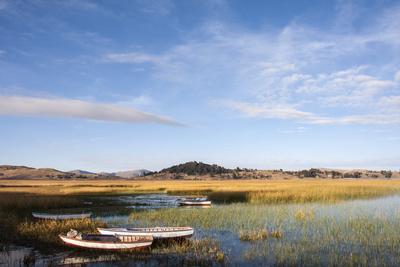 Foto Lámina fotográfica Traditional Fishing Boats Among the Reeds at Sunrise de Jonathan Irish, 61x41 in.