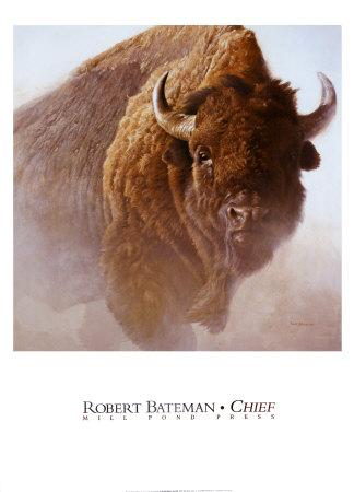 Foto Lámina Jefe de Robert Bateman, 91x66 in.