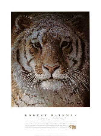 Foto Lámina Retrato de tigre de Robert Bateman, 81x61 in.