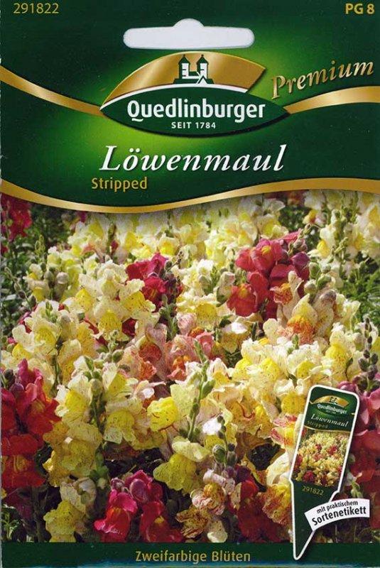 Foto Löwenmaul 'Stripped' - Antirrhinum majus - Samen