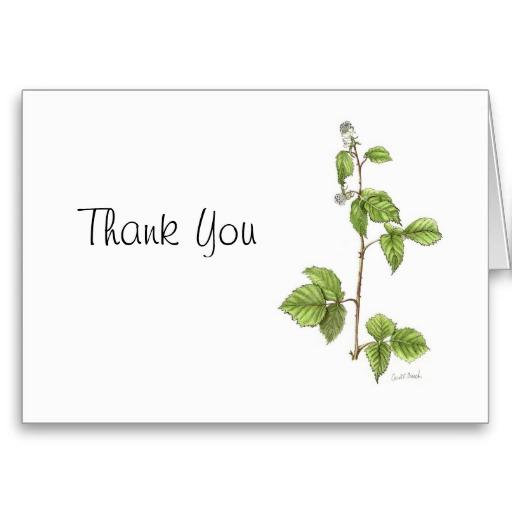 Foto La frambuesa roja americana le agradece Tarjetón