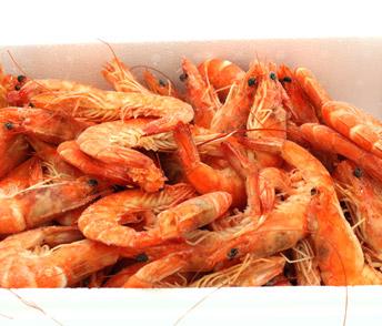 Foto Langostino cocido 40-60 piezas Noray Extra