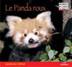 Foto Le panda roux