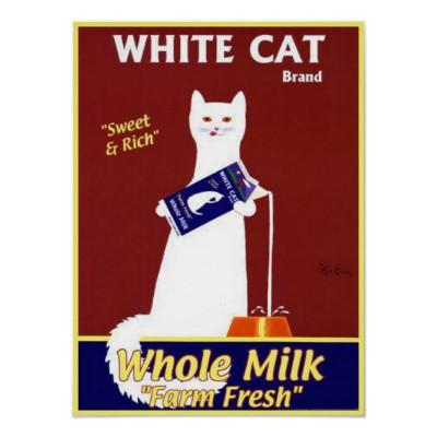 Foto Leche entera de la marca blanca del gato Impresiones