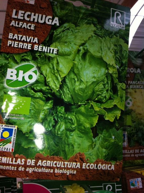 Foto Lechuga batavia pierre bénite 2g