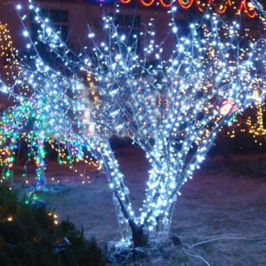 Foto LED cadena de luz, la Navidad y decoración de Halloween Festival de la Luz