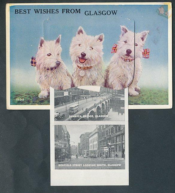 Foto Leporello-Postal Glasgow, 3 weiße Terrier, The Kelvin Hall, Jamaica Br