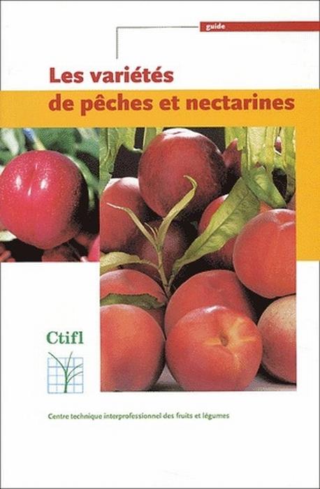 Foto Les variétés de pêches et nectarines