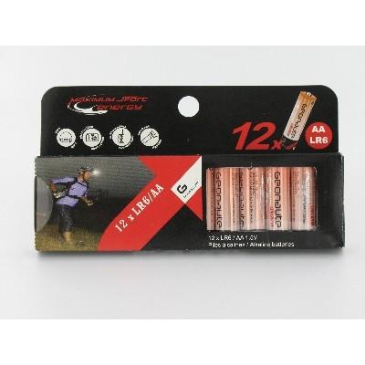 Foto Lote De 12 Pilas Aa (Lr06)