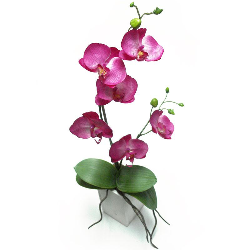 Foto Maceta Madera Orquídea Fucsia