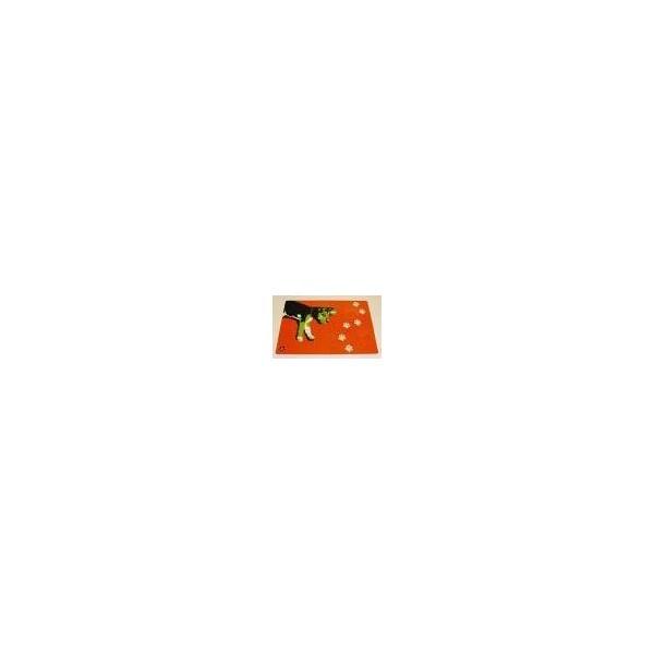 Foto Manteles individuales lola naranja