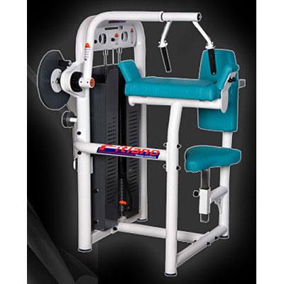 Foto Maquina de musculacion profesional extension triceps 60 kg de carga