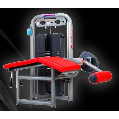 Foto Maquina musculacion profesional Femoral Piernas Tumbado 80 kg de carga