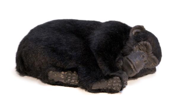 Foto Mascota Gorila - Peluche Perfect Petzzz - La mascota que respira