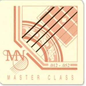 Foto Master Class Phosphor Bronze UL (.009)