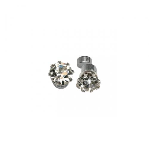 Foto Masterdis Mangnet Earring Crystal 6mm Round Cristal