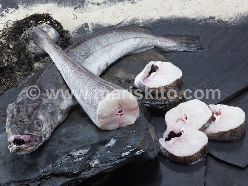 Foto Merluza de Pincho (3-4 kg)