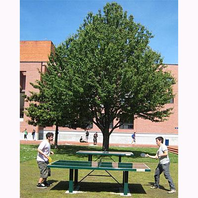 Foto Mesa ping pong tenis mesa de exterior, antivandalica