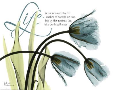 Foto Mineral Blue Life Tulips