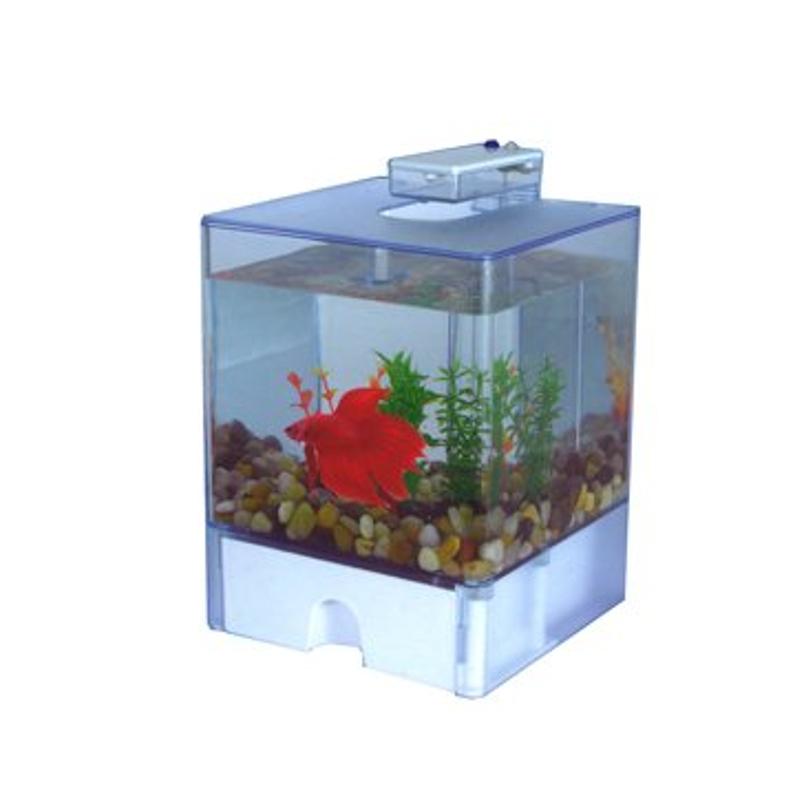 Foto Mini-Acuario Aquabox Betta 2 (15x15x14,5 cm.)