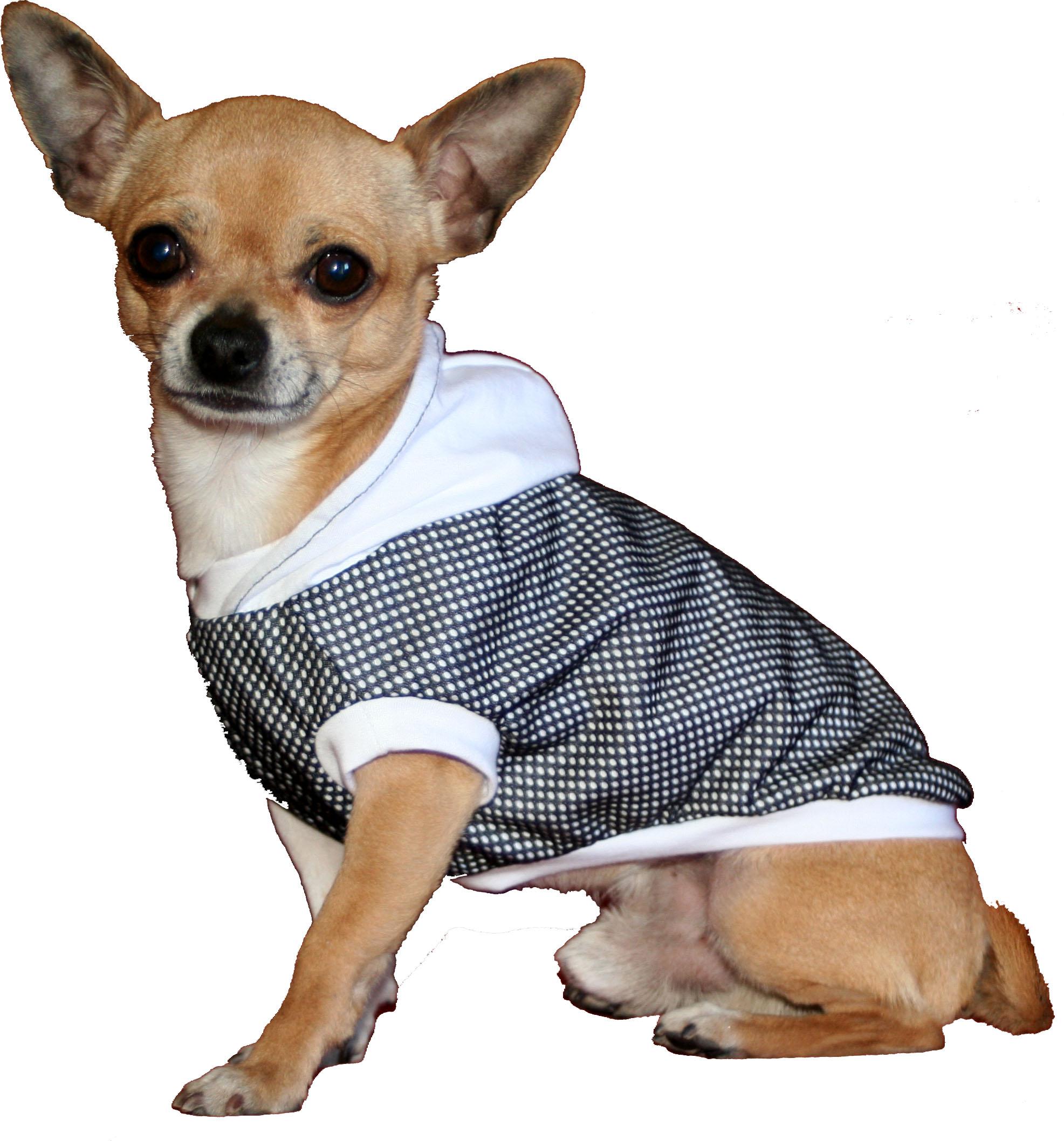 Foto Minidog camiseta concep blanca para perro