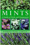 Foto Mints : A Family Of Herbs And Ornamentals