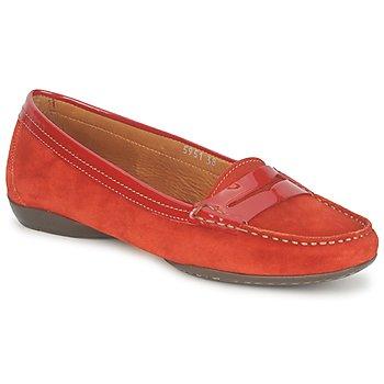 Foto Mocasines Tremp Joel Vileda